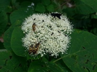 TammyHardCore's profile picture. I'm no more special than the next person