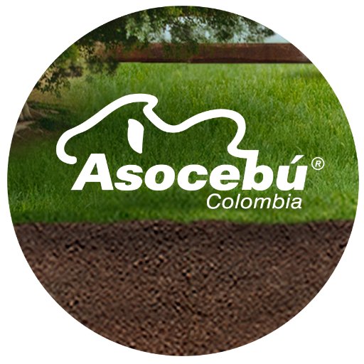asocebu Profile Picture