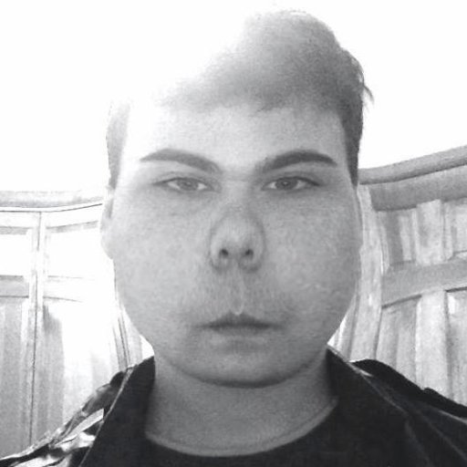 Nationalist, bedroom musician, ex-druggie, internetter, aspiring writer. Interested in philosophy, music, film, literature, satire, science, and the occult.