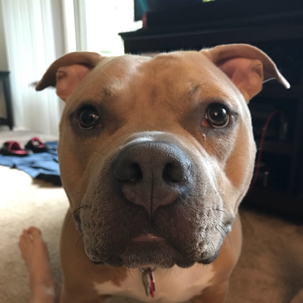 OGThemeMaster's profile picture. Original ThemeMaster. Formerly of https://t.co/zhhTuEI1qX. Tweet @WWEMusic to release all Jim Johnston tracks!