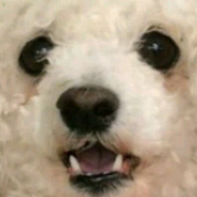 stillalivehstn's profile picture. In really need to prove read my tweets. But actually I don't relly care