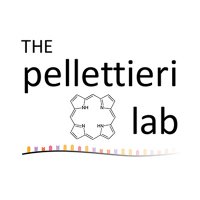 Pellettieri Lab(@pellettierilab) 's Twitter Profile Photo