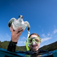 Chloe Nash, PhD (@chloelikesfish) 's Twitter Profile