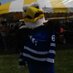 Hilbert Hawks Hockey (@hilberthockey) Twitter profile photo Hilbert Hawks Hockey (@hilberthockey) Twitter profile photo