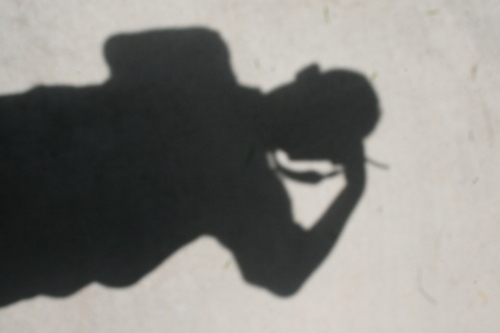 i am a single man but i am looking for a girl friend to spend the res of my life with:)