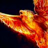 darksidejaime's profile picture. Call me firebird aka the prince of fire and fear
