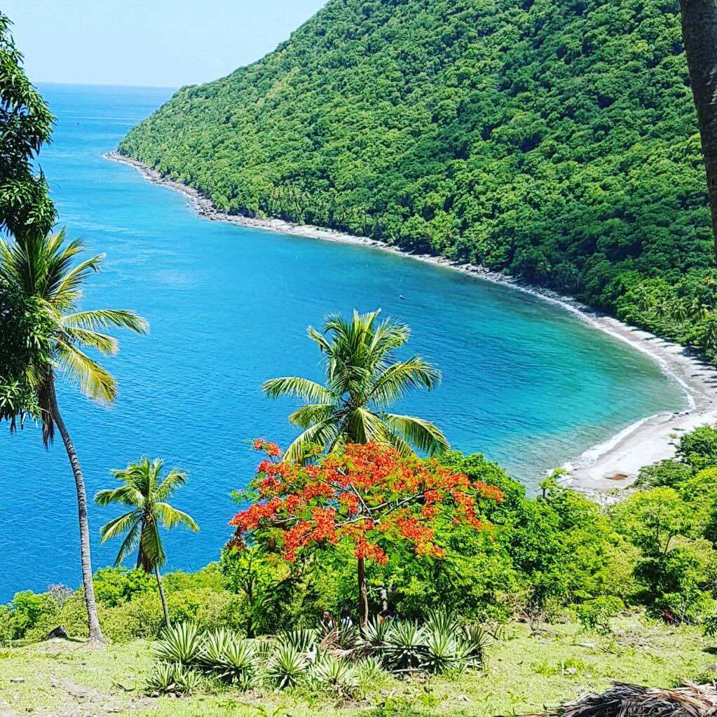 nailed2theCross's profile picture. Stickler for news and thinker