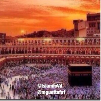 الأخوة المتابعين الأعزاء نبلغكم انه تم التوقف عن التسجيل لأسباب أحتفظ بها .. وسيتم الاكتفاء بالمقاطع القصيرة المفيدة عبر حسابي الثاني #سؤال_و_جواب @mguettafat