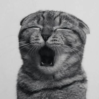 DouglasRox's profile picture. Para que levar a vida tão a sério, se a vida é uma alucinante aventura da qual jamais sairemos vivos.