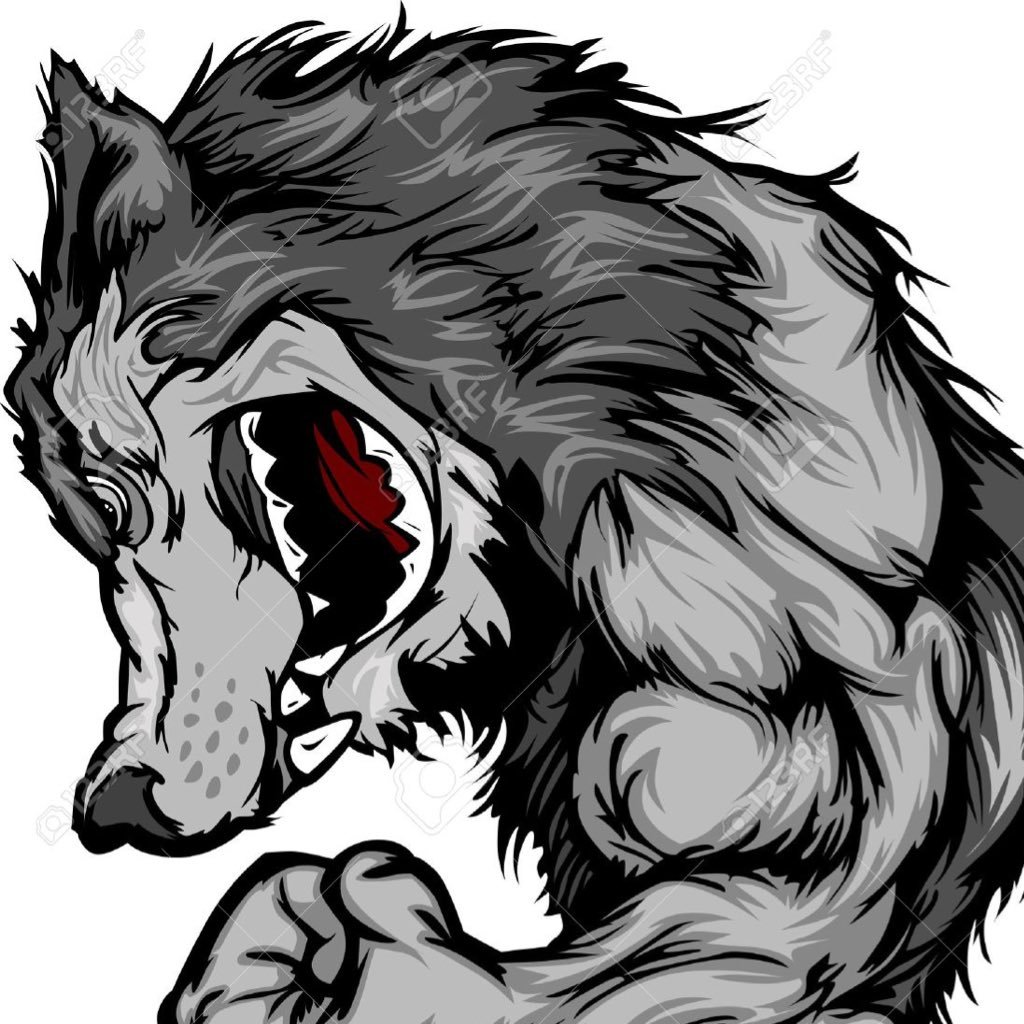 SBFBWolfpack's profile picture. SeaWolves Football news