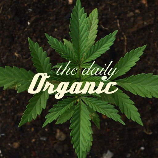 No frills Cannabis news. Delivered to your inbox. For Free. #thedailyorganic