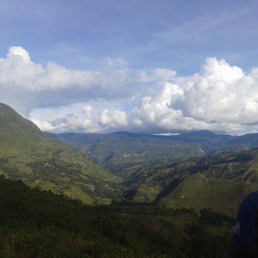 kogoyanakYanec's profile picture. 