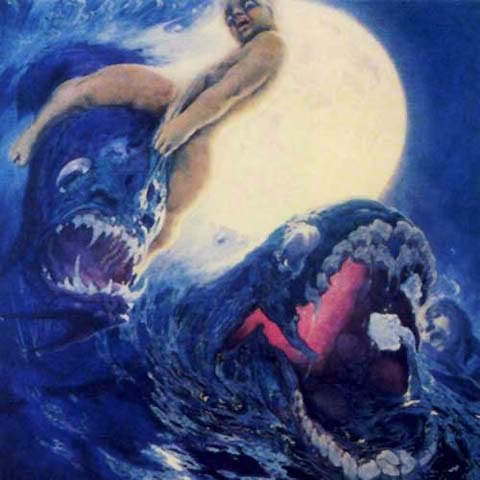 acofalsan's profile picture. 