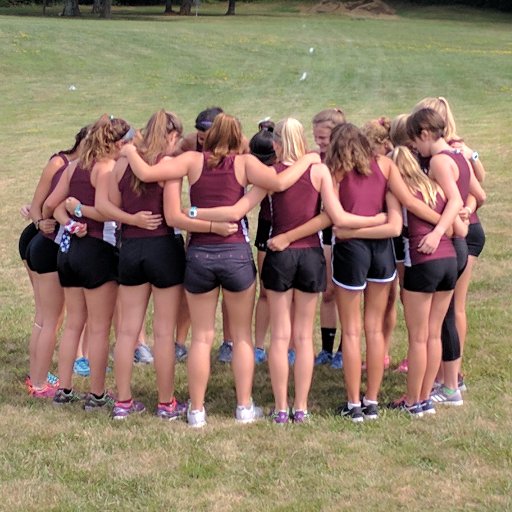 SalemSpartansXC's profile picture. 