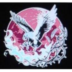 kaicohenさんのプロフィール画像