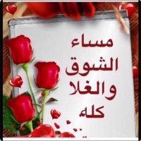 فيصل العتيبي (@vjgknnu4c7lyiqn) 's Twitter Profile