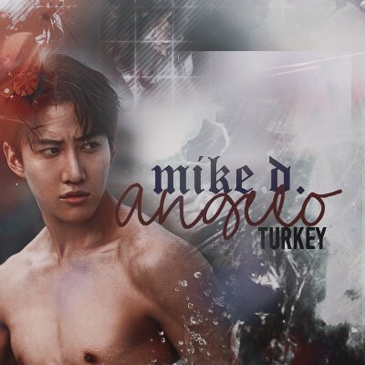 Mike D.Angelo Turkey Fan Page 🕊