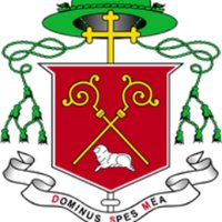 Diocese of Elphin (@elphindiocese) 's Twitter Profile