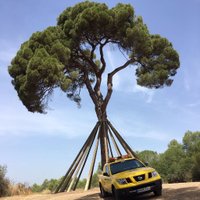 ADF Sant Cugat V. (@gieadfscv) 's Twitter Profile
