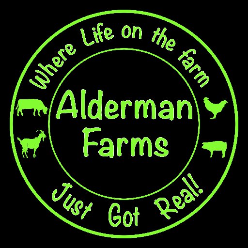 We LOVE helping others along their homesteading journey by offering Tips / Training / Tales & Tails. Connect with us at #AldermanFarms on YouTube!