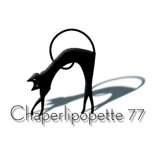 Association de Protection Animale | 🐱| #stérilisation | #adoption | #familledaccueil |  chaperlipopette777@gmail.com | Suivez-nous sur Facebook & Instagram