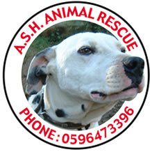 Ash Animal Rescue (@ashanimalrescue 