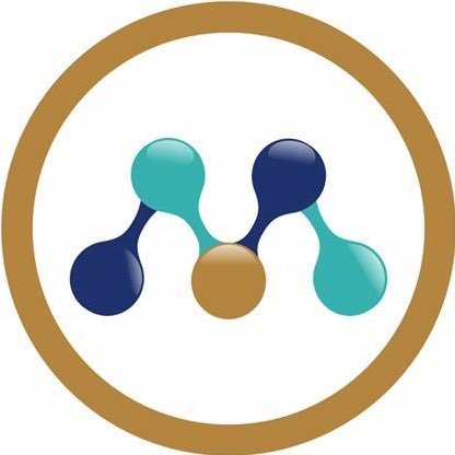 MeshMuse's profile picture. #Network, #JobSite & #Funding #SaaS platform where #artists, #creatives from #Film, #PerformingArts & #Entertainment can Connect, Collaborate, Create projects.