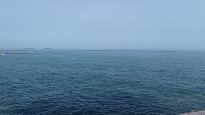 hahaahah0's profile picture. 