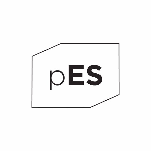 PforEmptySpace's profile picture. PES is a not-for-profit organization that creates socially engaging art exhibitions + programming that encourage social dialogue, education + systemic change.