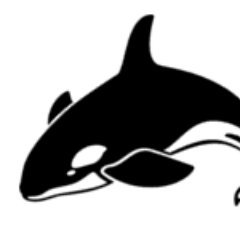 shouldiusehbase's profile picture. NO!