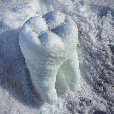 TNevralji's profile picture. Not important