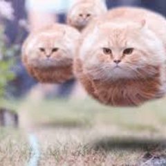 idekaYT's profile picture. 