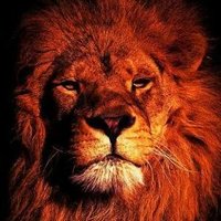 red-lion (@red_lion50) Twitter profile photo