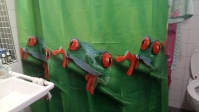 YBluthner's profile picture. 