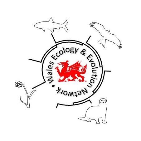 Wales Ecology & Evolution Network: connecting early career researchers based at Universities across Wales. #WEEN23 24th-26th November 2023