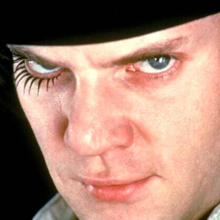 MrDavisWestHigh's profile picture. Teacher from Millard West High School (Omaha) looking to connect to the academic growth of students.