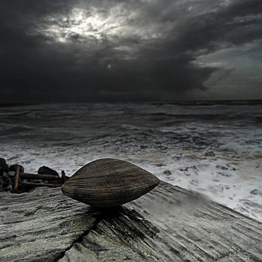 The Clam Before The Storm