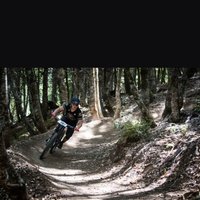 Sawyer Robertson (@sawyerrobertson) 's Twitter Profile