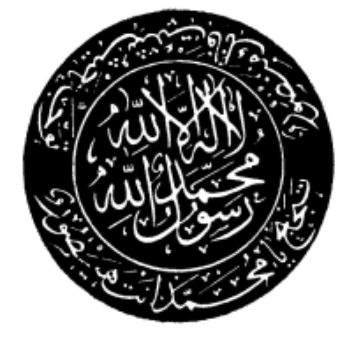 arapoglu_gamze's profile picture. 