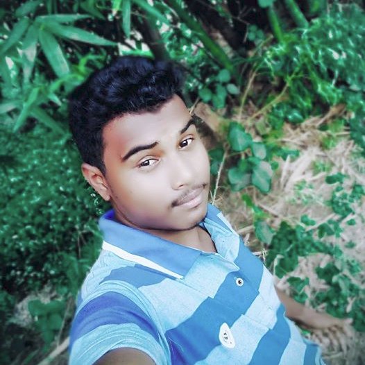 pointomur's profile picture. i am graphic designer