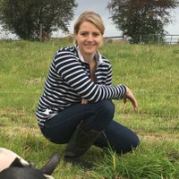 Charlotte Rogerson (@rogerson_c) 's Twitter Profile