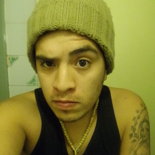 Piponga's profile picture. Leonino | Bostero desde la cuna | SIN L0CUR4 NO HAY FELICIDAD !!