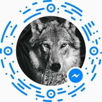 Leo mx (@leo_mx_) 's Twitter Profile