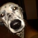 Dean Badger - @dbadger7 - Twitter