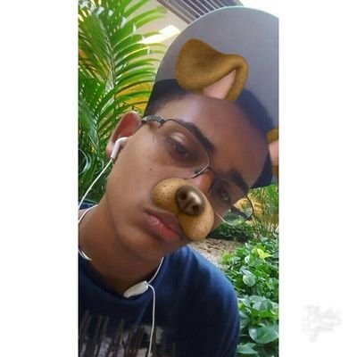 LuizAle70699977's profile picture. Fofo