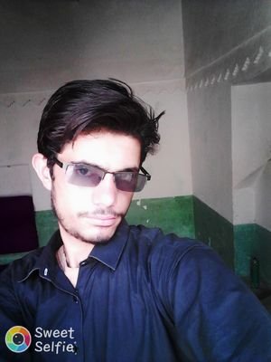 MIlyasK46179499's profile picture. united states cabbinet