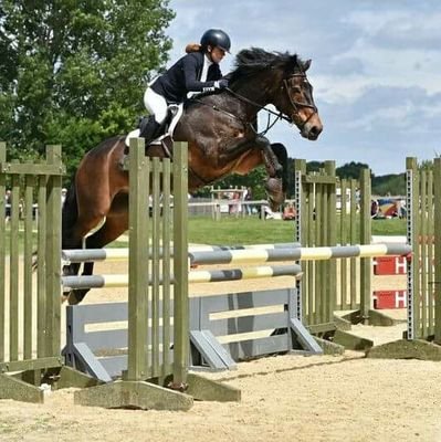 Follow me and my horses. Ted and Dave. I'm a freelance groom and rider. Sponsored by https://t.co/RkXDvxyemO fb page LV Equestrian.