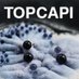 TOPCAPI Project (@topcapi_eu) Twitter profile photo TOPCAPI Project (@topcapi_eu) Twitter profile photo