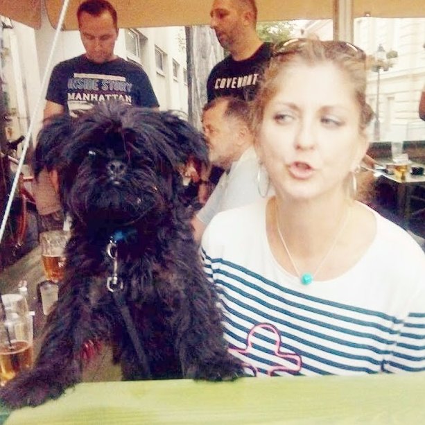 katzKp's profile picture. 