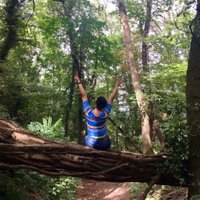 Virginia Interlandi (@virginia_int) 's Twitter Profile
